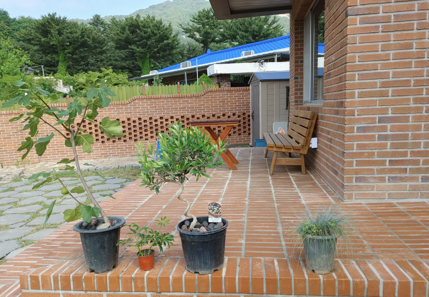 미모하우스 마당